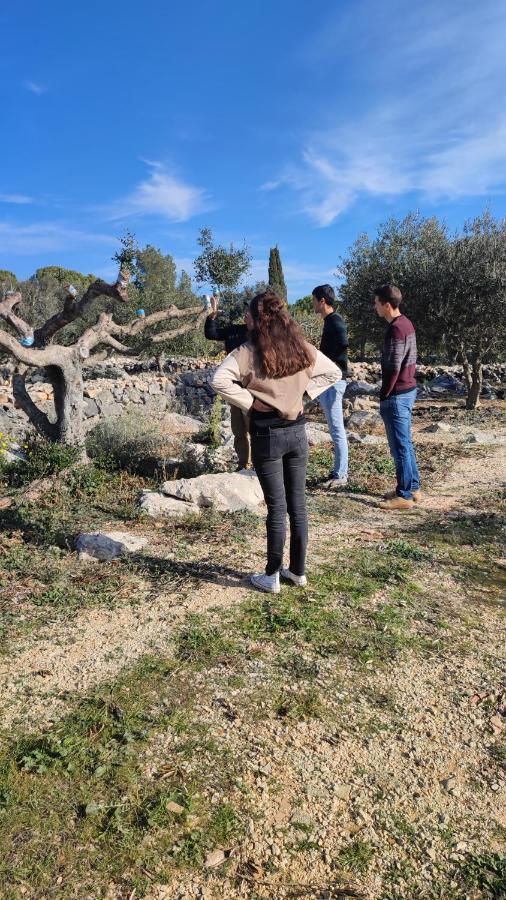 Can Barraca Avinyonet de Puigventós Dış mekan fotoğraf